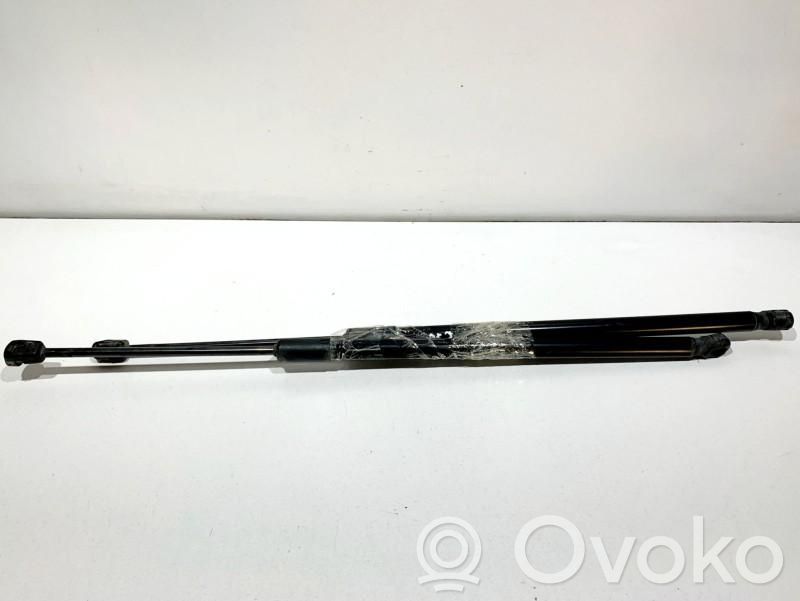 Tailgate/trunk strut/damper   5F4827550A,5F9827550D