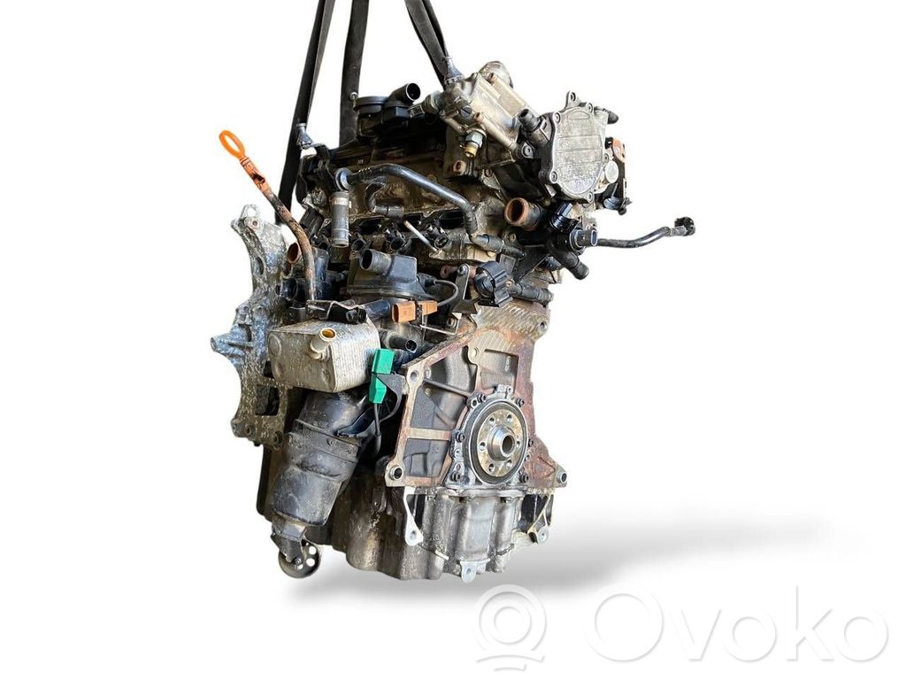 Skoda Octavia Mk2 (1Z) Moteur 