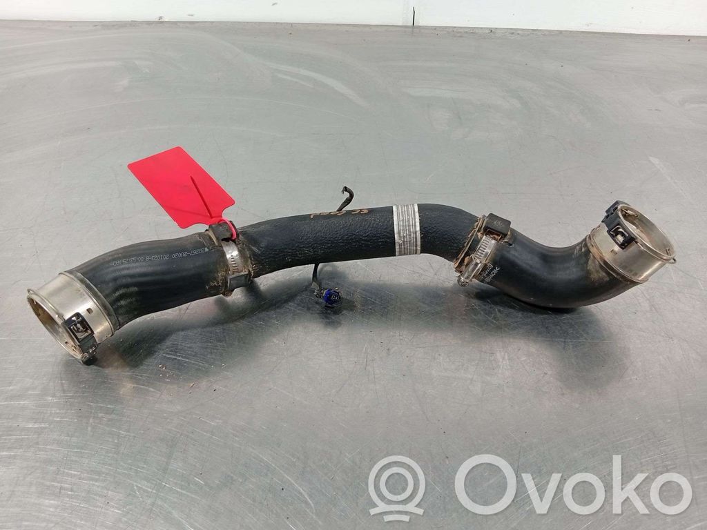 Intercooler hose/pipe   282602U020