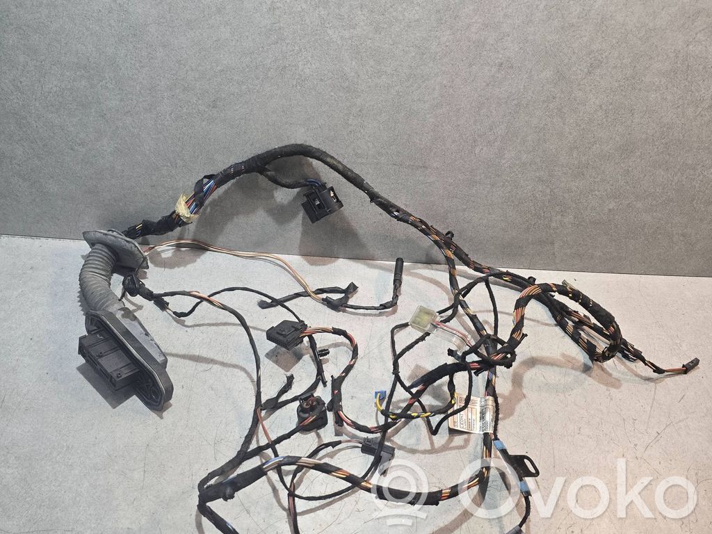 BMW X5 E70 Cableado de puerta delantera 