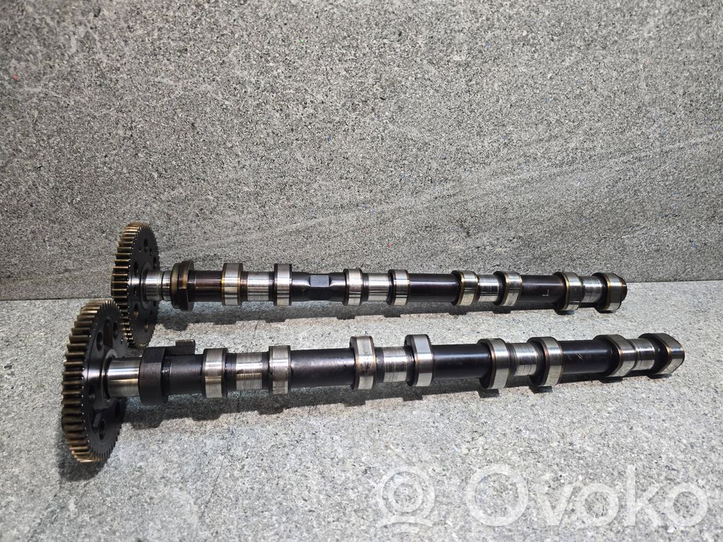 Sadales vārpsta   204D4