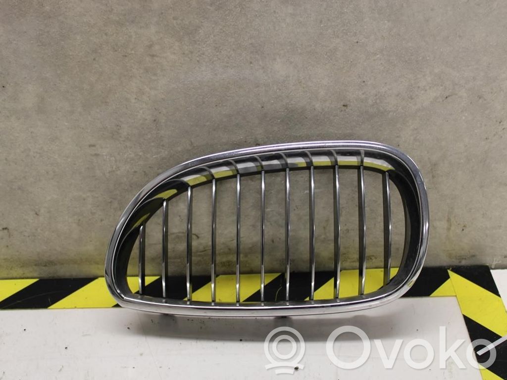 Front bumper lower grill   51137065701,134788