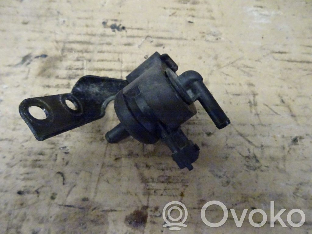 Hyundai i20 (PB PBT) Serbatoio a carbone attivo per il recupero vapori carburante 