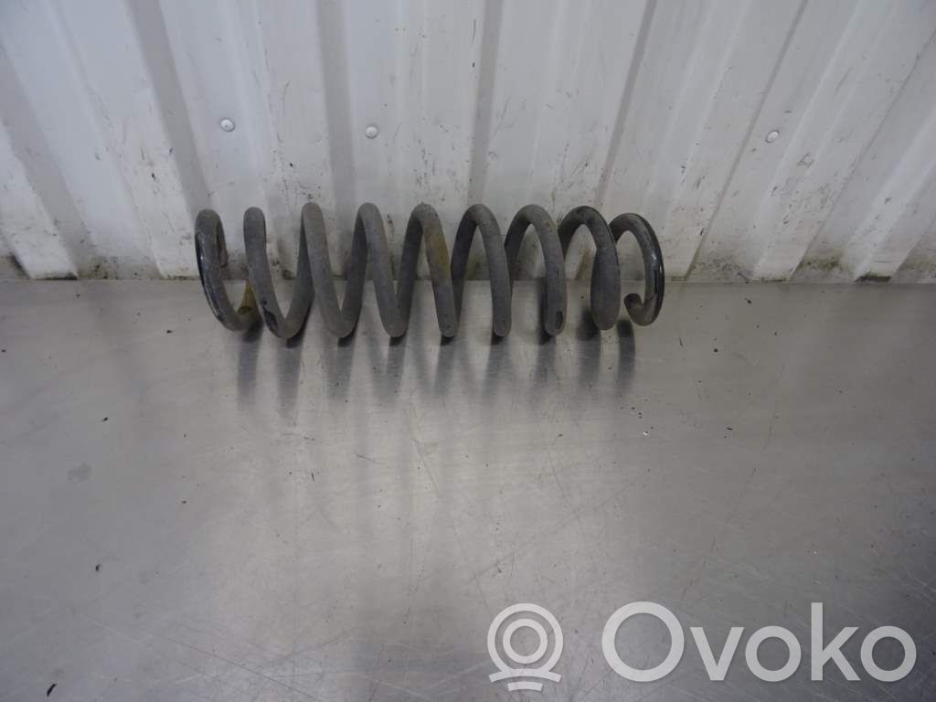 Rear coil spring   33536767336,166052