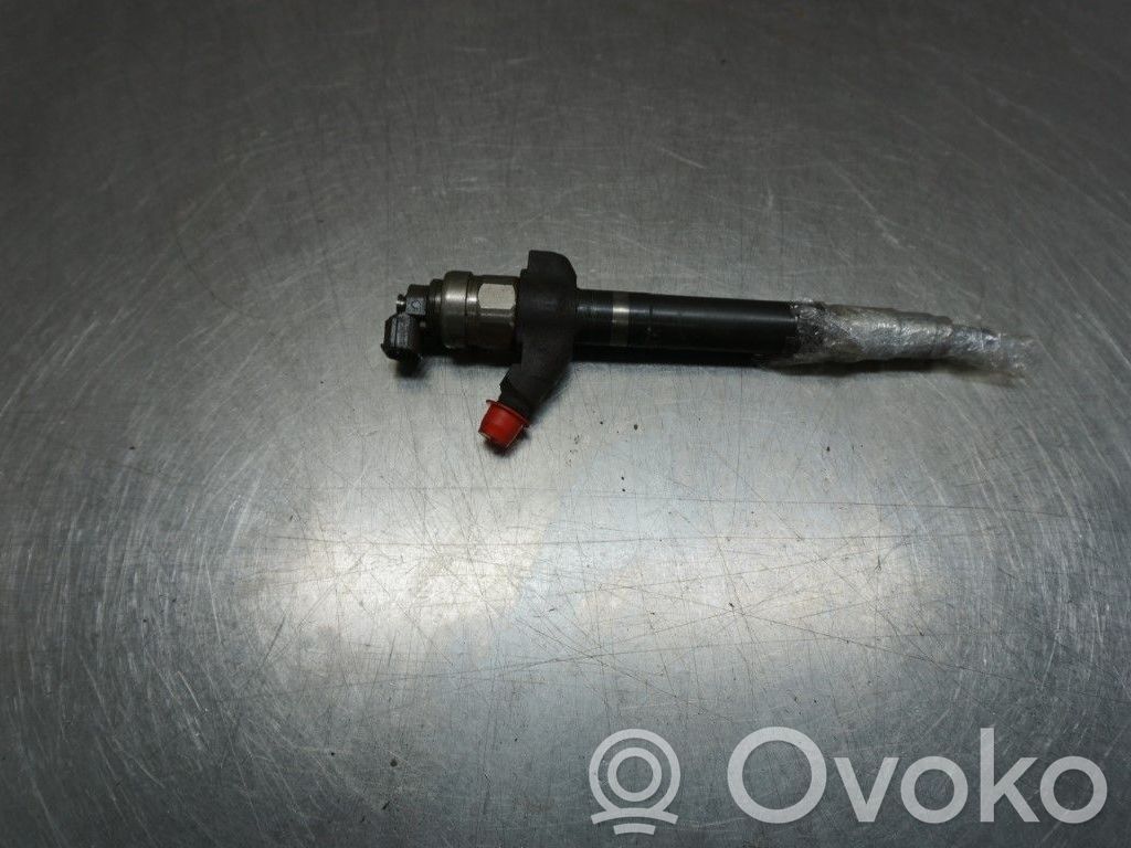 Fuel injector   1495919,173182,0950005810
