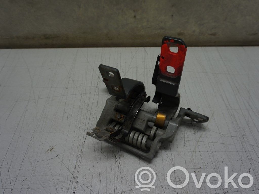 Tailgate/trunk/boot hinge   41627175299,233245,7061383