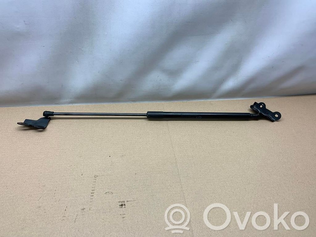 Tailgate strut   6895002191,251876