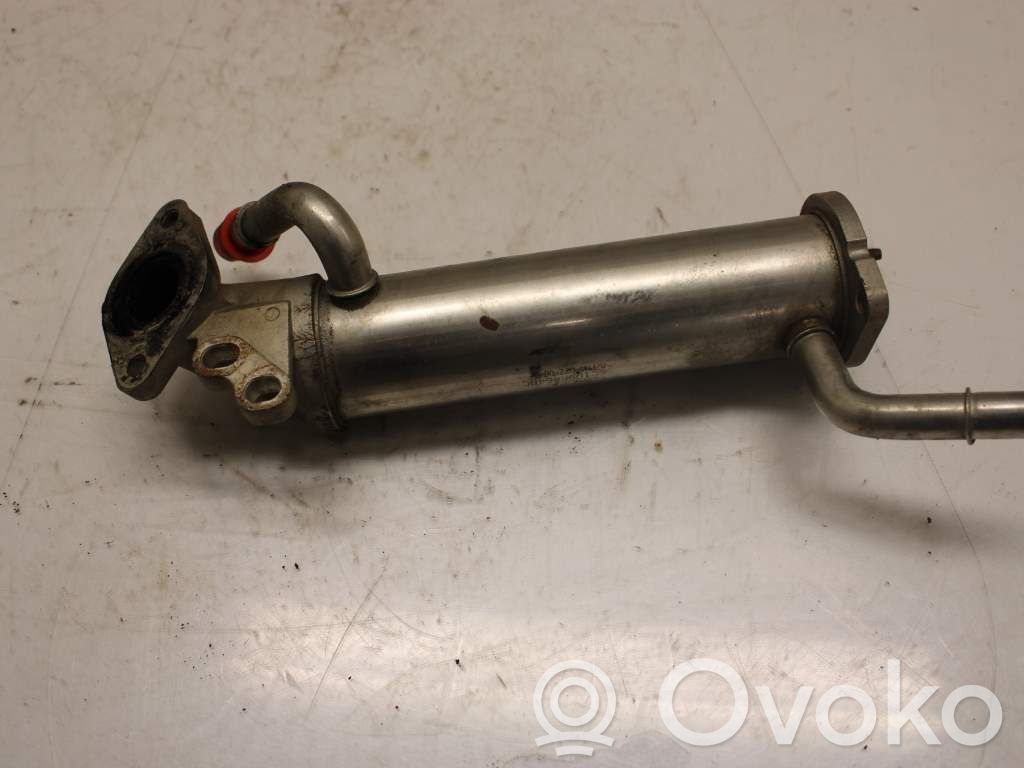 EGR aušintuvas   1674960,N033690
