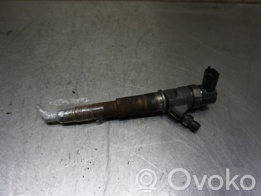 Inyector de combustible   166009947R,N046112