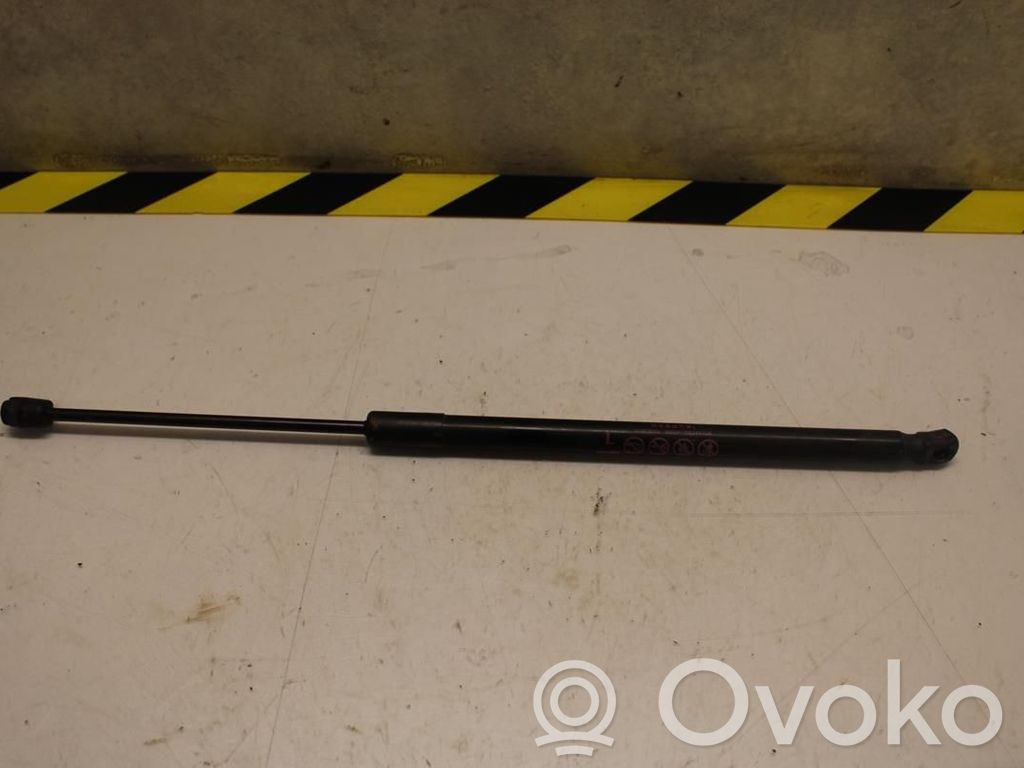 Tailgate strut   6896002210,N055033