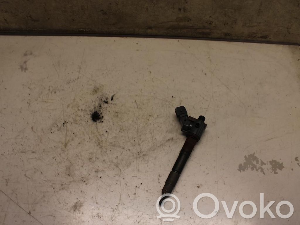 Inyector de combustible   36010045,N016464