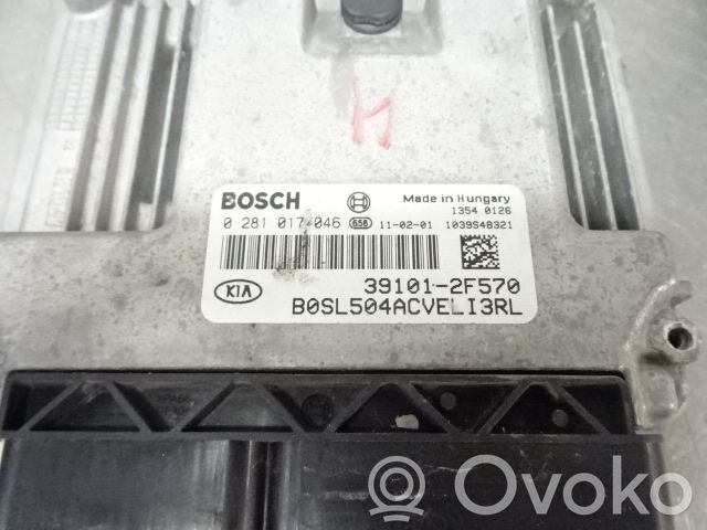 Injection control unit/module   391012F570,185983