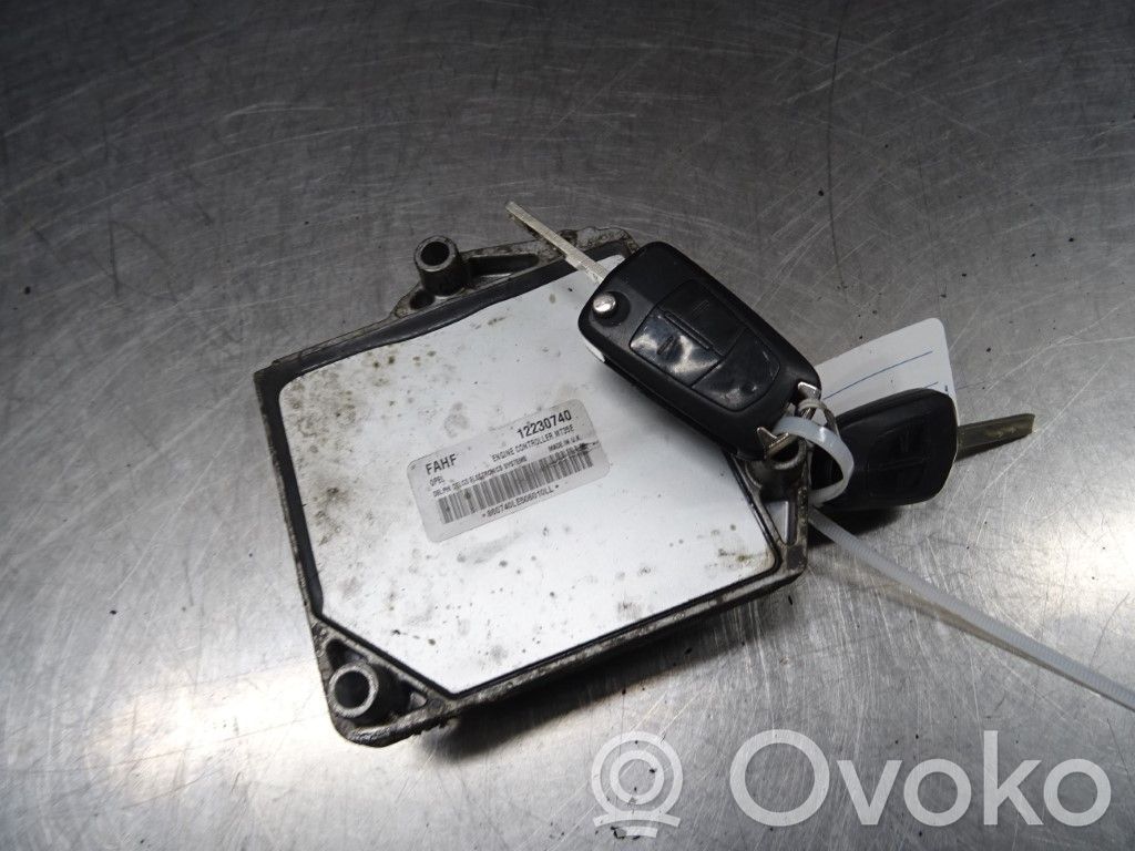 Injection control unit/module   12242190,N008330,12230740