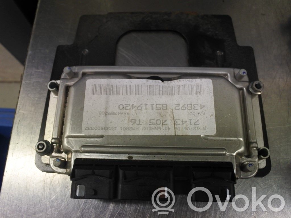 Peugeot 307 Injection control unit/module 