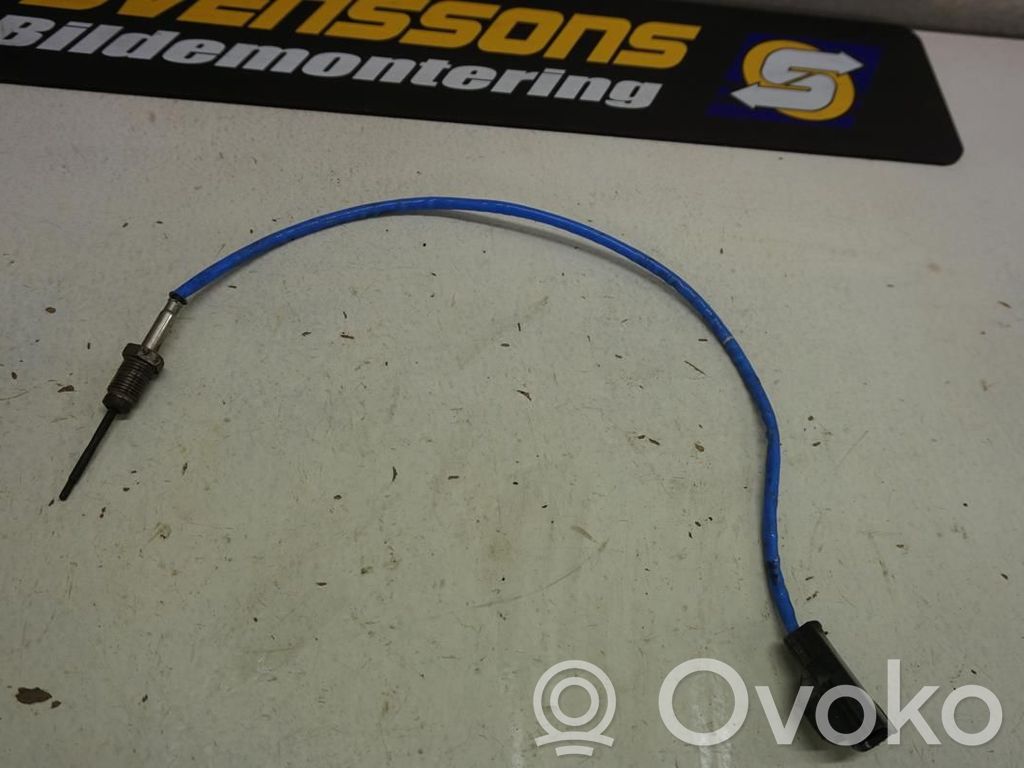 Abgastemperatursensor   30777344,197276