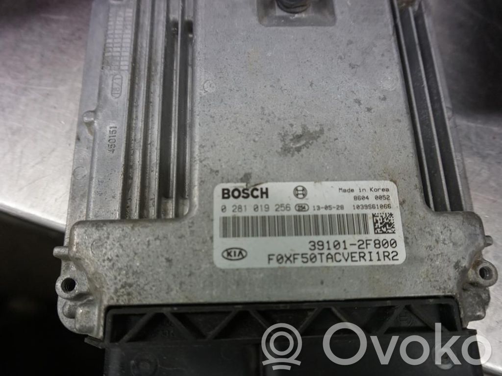 Injection control unit/module   391012F800,N049073,0281019256