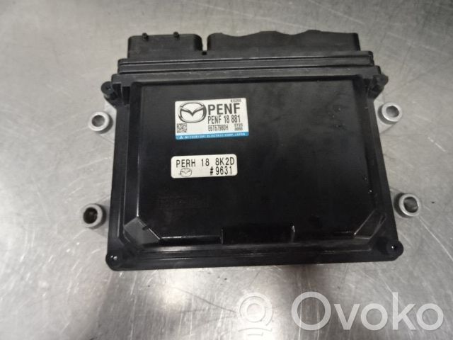 Injection control unit/module   PENF18881,N042226
