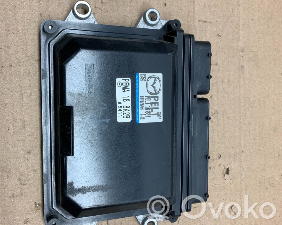 Injection control unit/module   PEMA188K2B,PELT18881,PELT18881