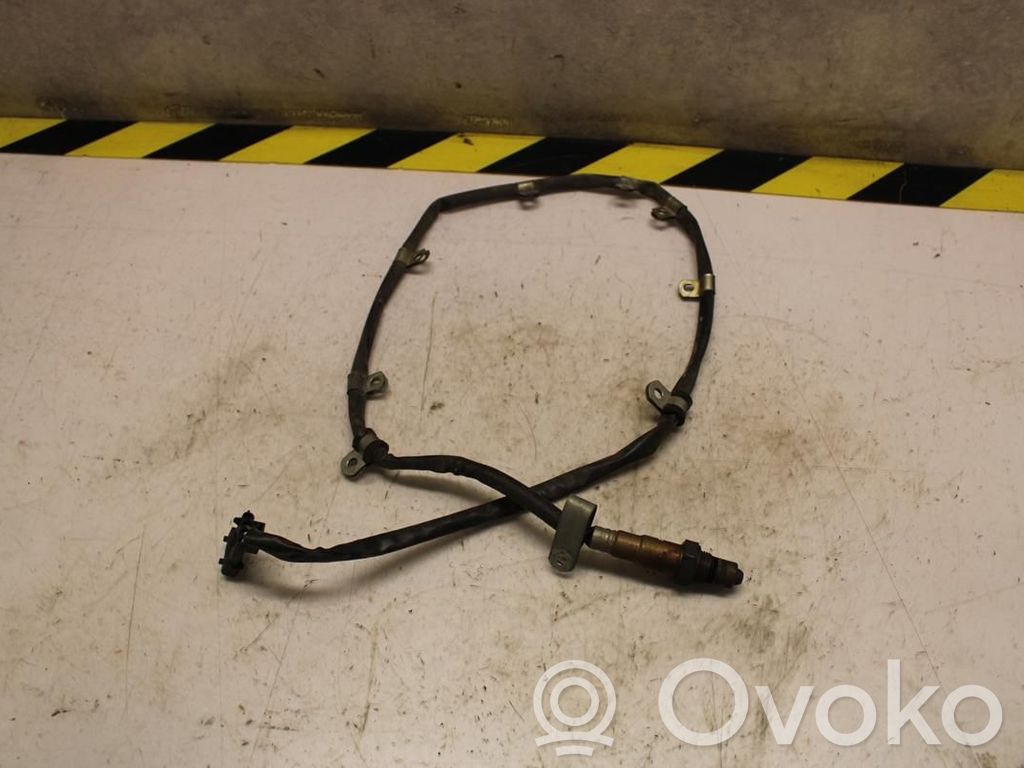 Lambda probe sensor   180915,N055606
