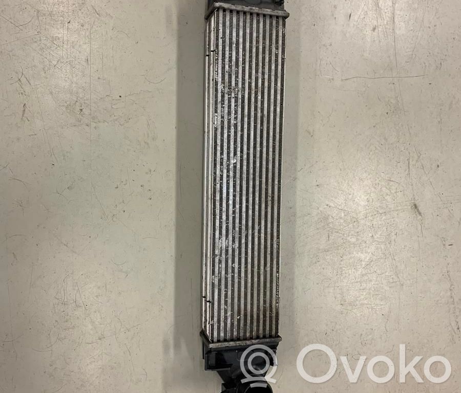 Interkūlerio radiatorius   30741669,133655