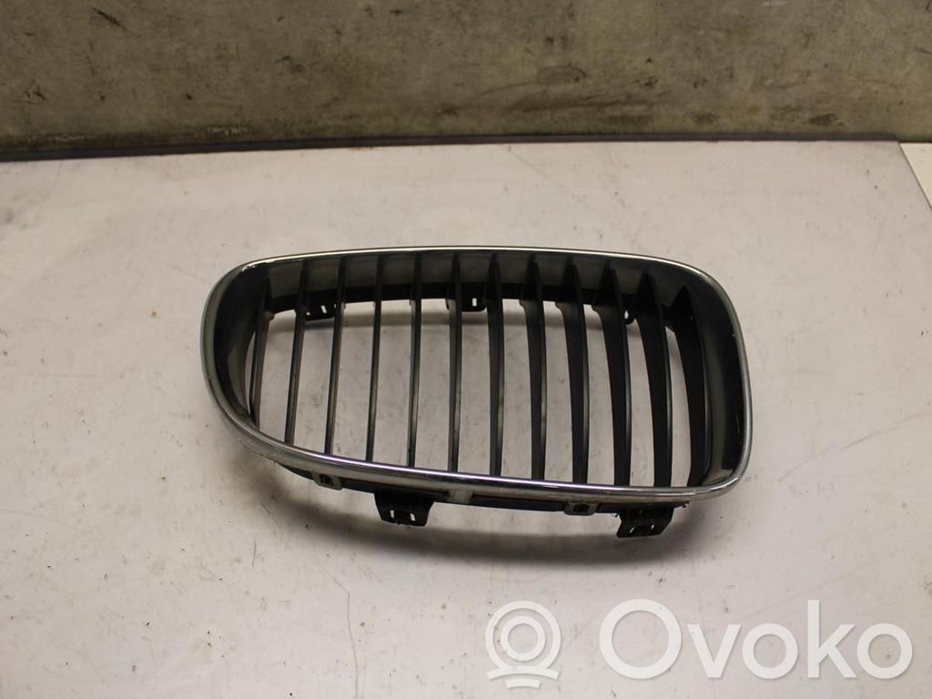 BMW 1 E81 E87 Front bumper lower grill 