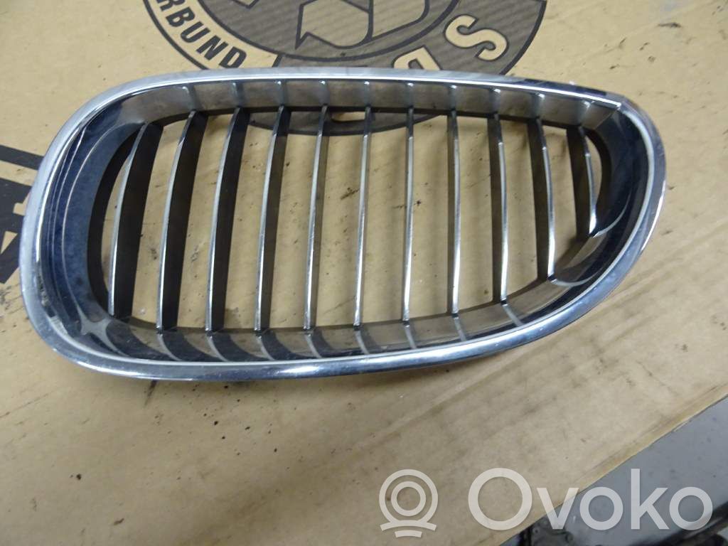 BMW 5 E60 E61 Front bumper lower grill 