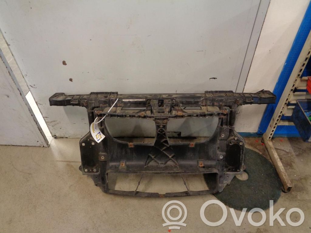 Radiatoru panelis   51647193192,N022295,51647058593