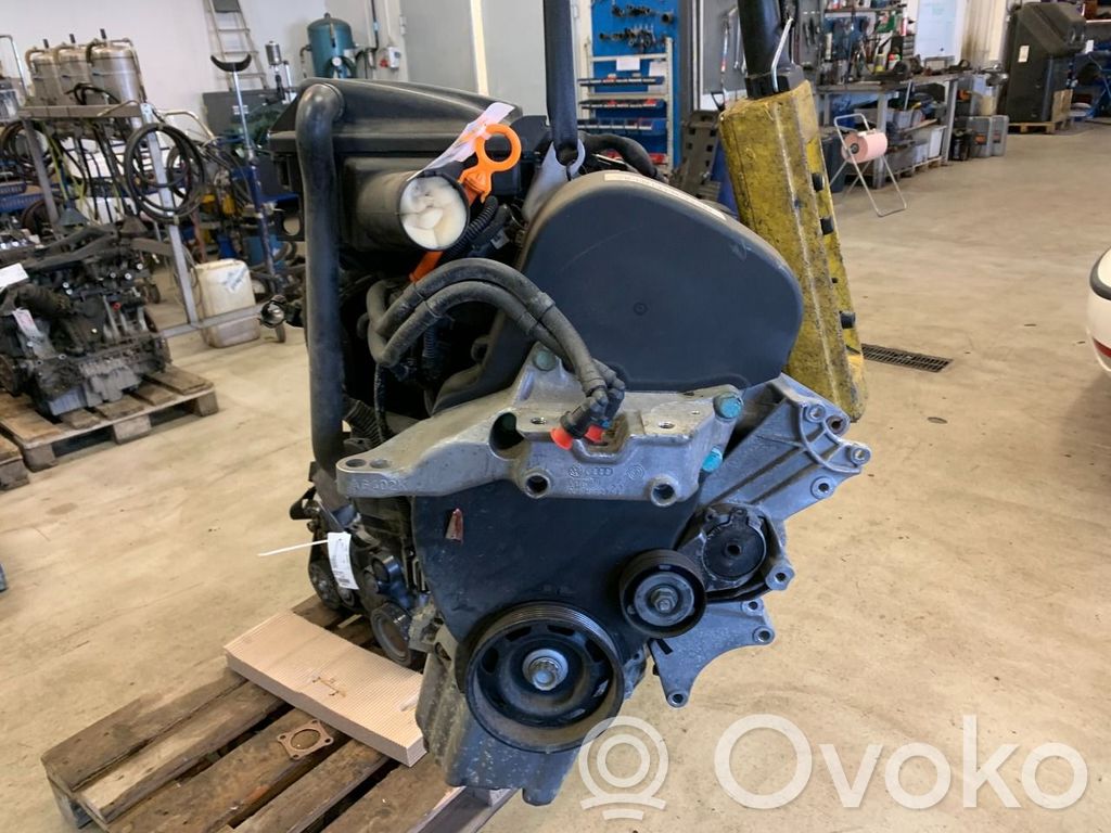 Volkswagen Golf IV Motor 
