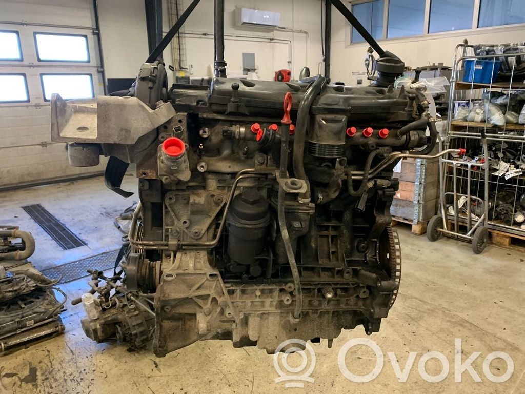 Engine   36050504