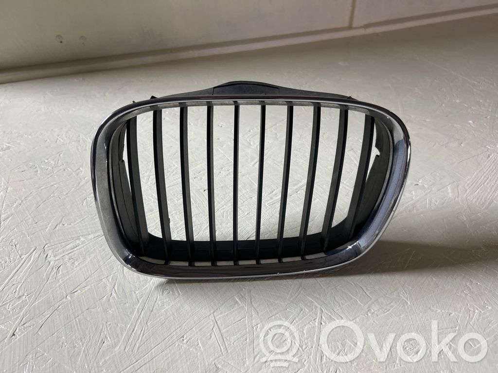 Front grill   8159311,8159313