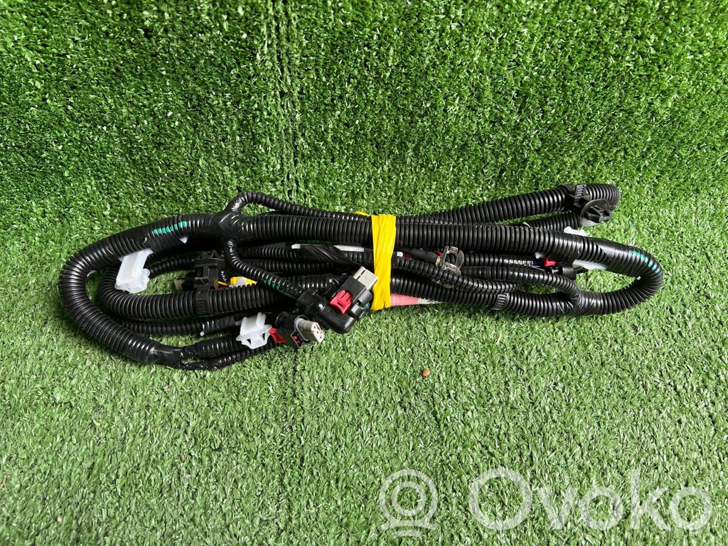 Cableado del sensor de aparcamiento (PDC)   106795800G