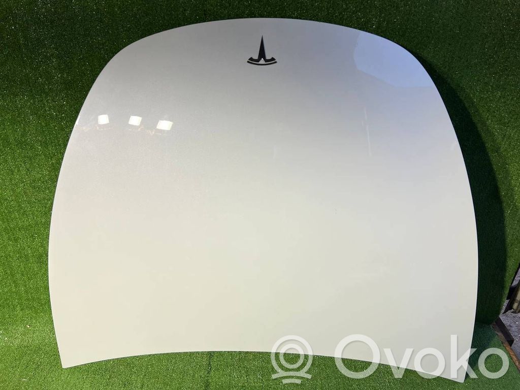 Tesla Model Y Capó/tapa del motor 