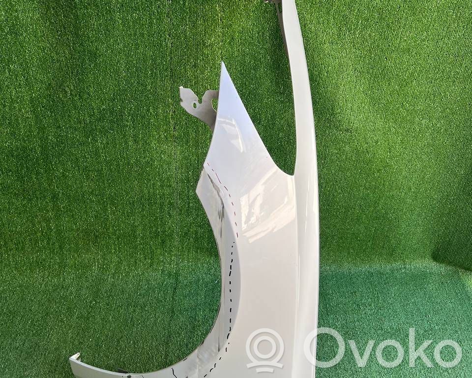 Tesla Model 3 Fender 