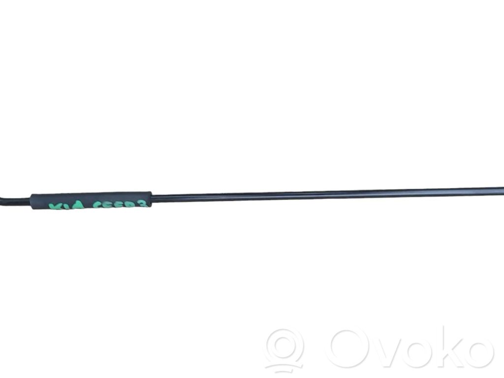 Engine bonnet/hood prop rod/strut