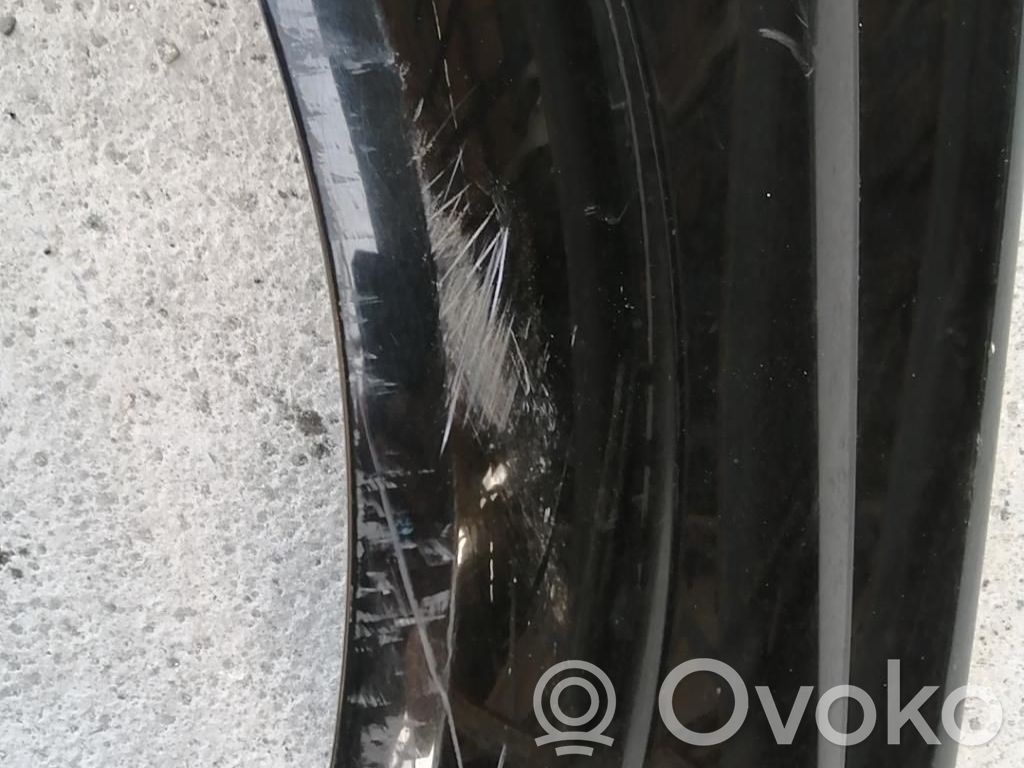 Renault Megane II Spārns 