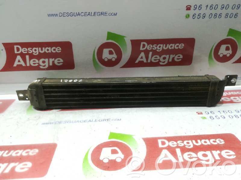 Intercooler radiator   1300410