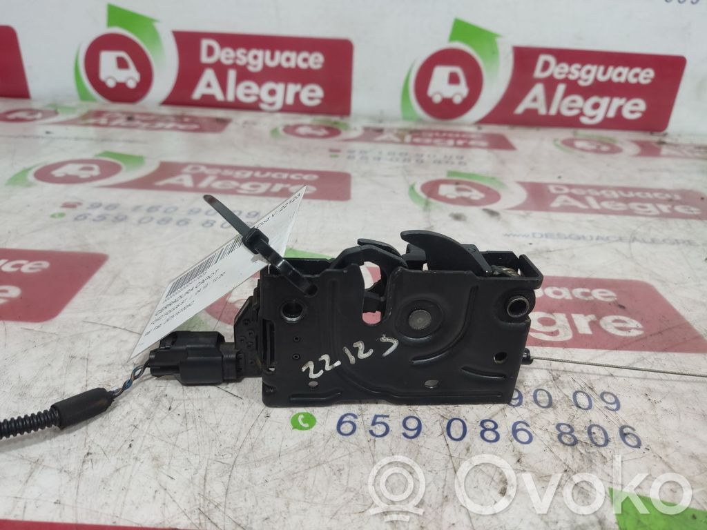 Ford Focus Tie down hook / loop 
