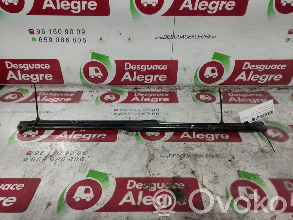 Amortiguador/puntal del maletero/compartimento de carga   AM51R406A10AE