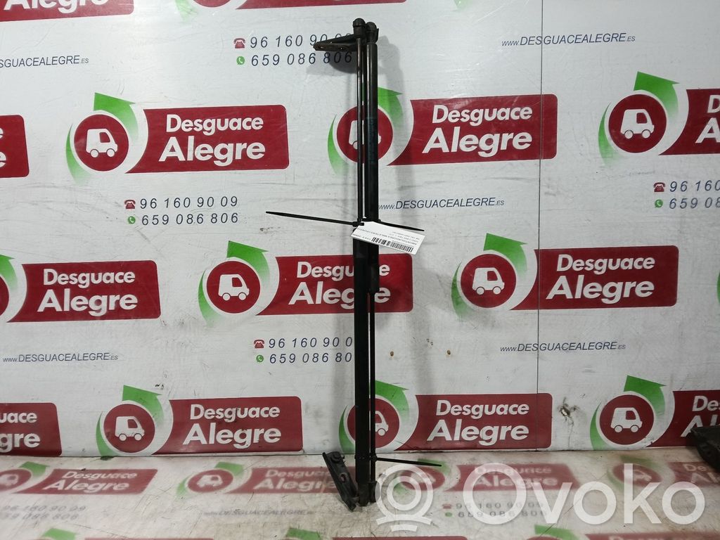 Ford C-MAX II Amortizor hayon 
