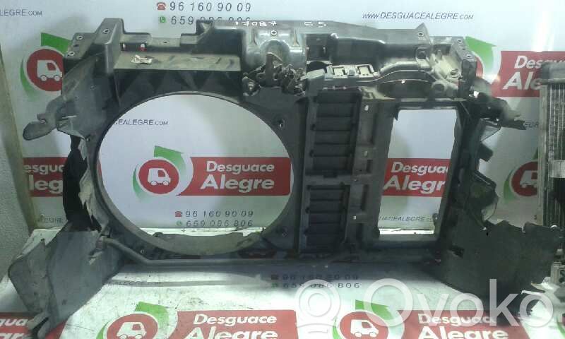 Panou suport radiator   9650601680