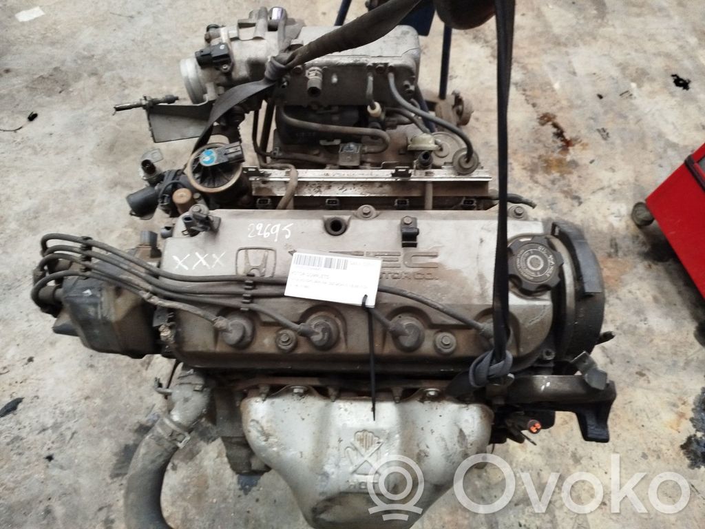 Honda Accord Motor 