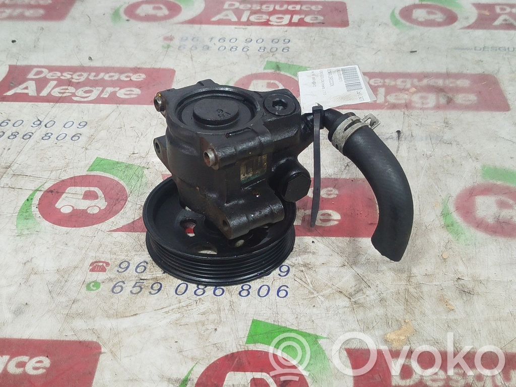 Ford Fiesta Servopumpe 