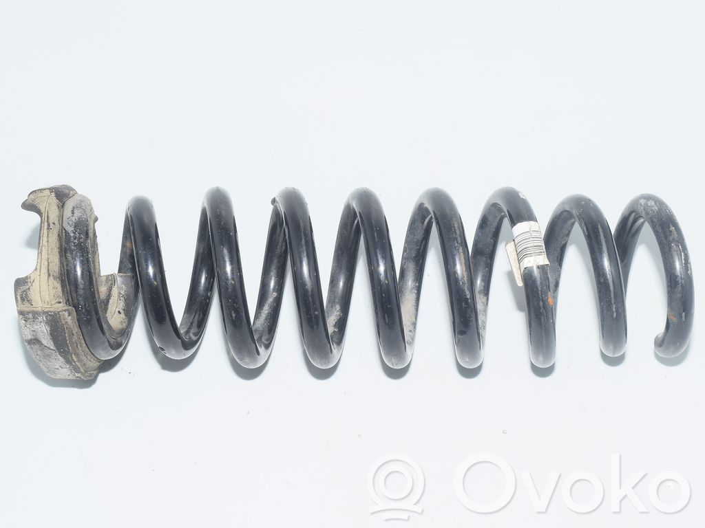 Rear coil spring