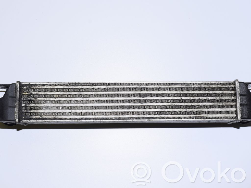 BMW 5 E39 Interkūlerio radiatorius 