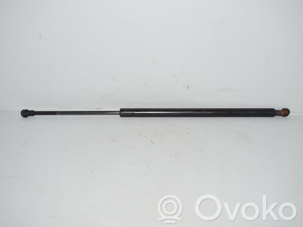 Tailgate/trunk strut/damper   8402405