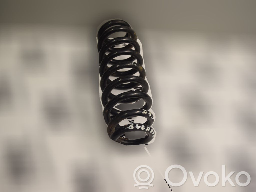 Rear coil spring