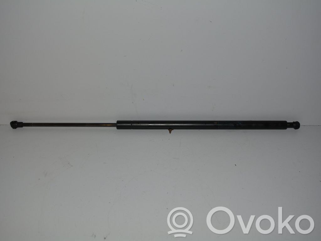 Tailgate/trunk strut/damper   3400379