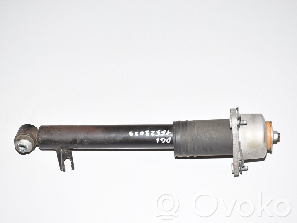 BMW X6 E71 Rear shock absorber/damper 