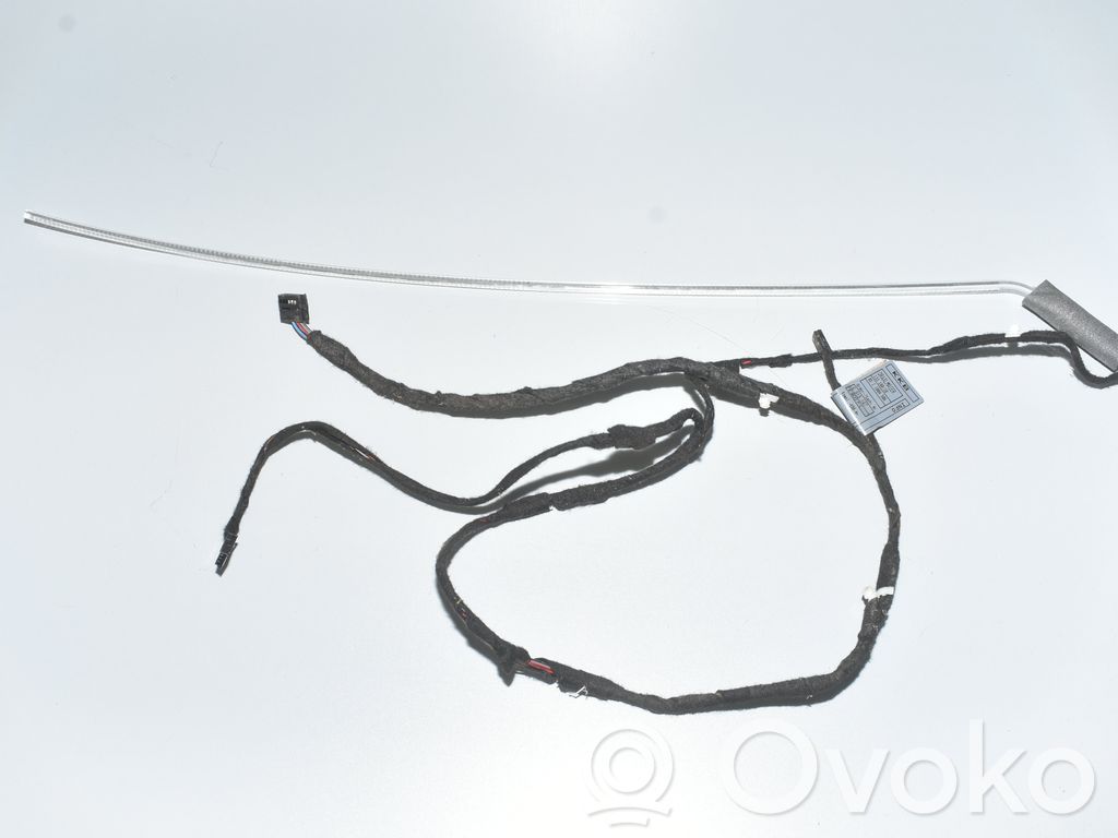 BMW 7 E65 E66 Cableado de puerta trasera 