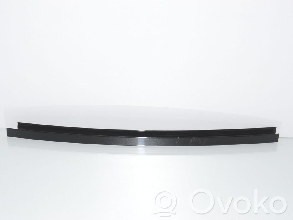 BMW X3 G01 Rear door glass trim molding 